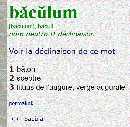 baculum.GIF